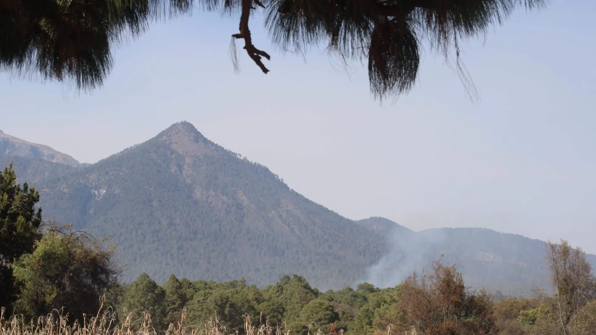 Provocan segundo incendio en La Malinche a un día de mitigar el fuego en la misma zona brigadistas  